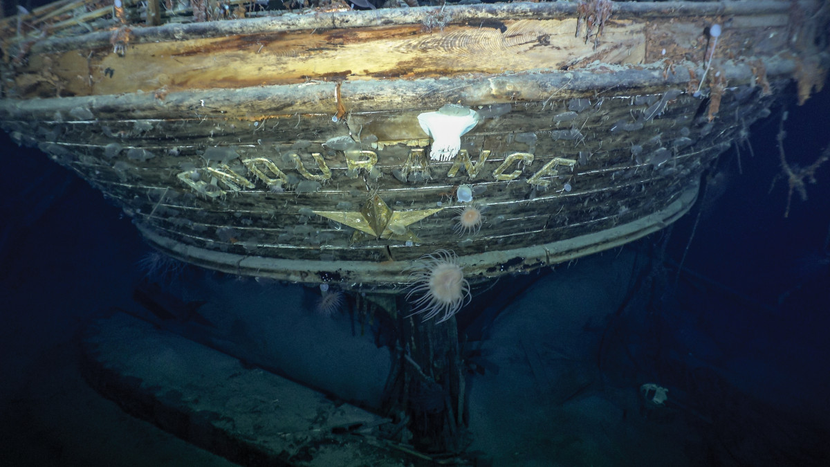 Endurance ship found near Antarctica