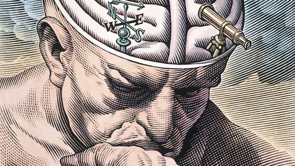 The gyri of the thinker’s brain