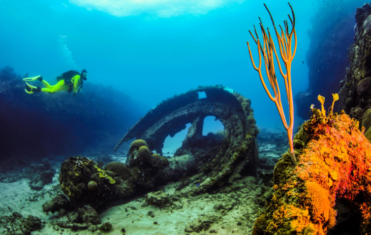 Amy Warren dives near shipwreck