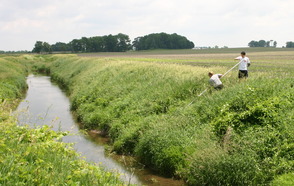 Seniors Henry Binning and Emma Cooper collecting water samples