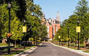 The tree-flanked Anderson Street entrance.