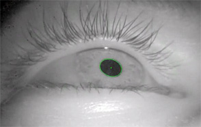The view from an infrared eye-tracking camera.