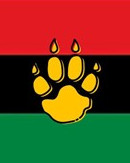 Association of African American Students (AAAS)