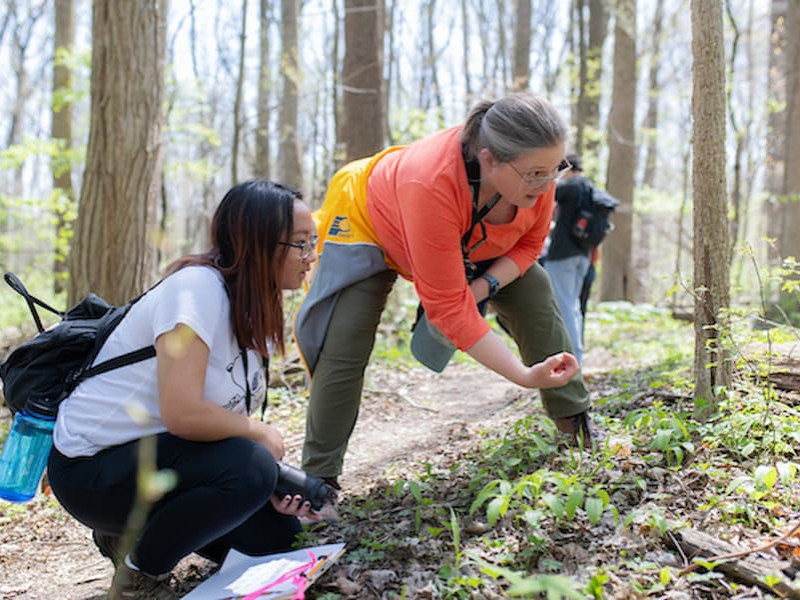 A professor and a student examining plant life on the ground along a wooded trail during a field research activity.