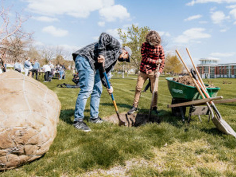 Two people digging a hole to plant a tree