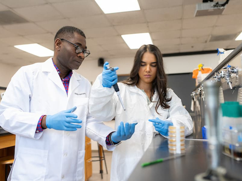 A professor and a student in white lab coats and blue gloves conducting research with a pipette and petri dish in a science laboratory.