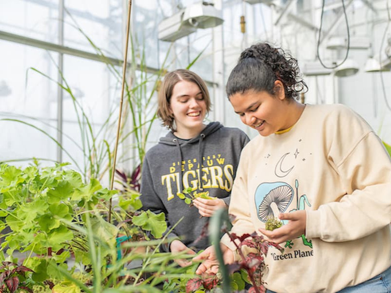 Two smiling students examine plants together inside a sunlit university greenhouse.