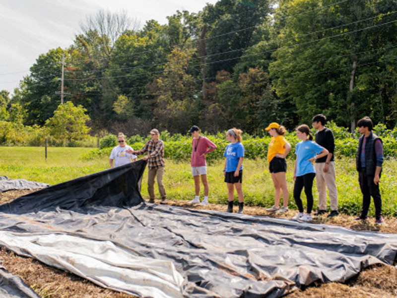laying down tarp