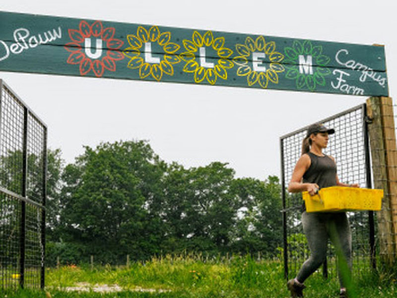 Person carrying a crate through a farm gate