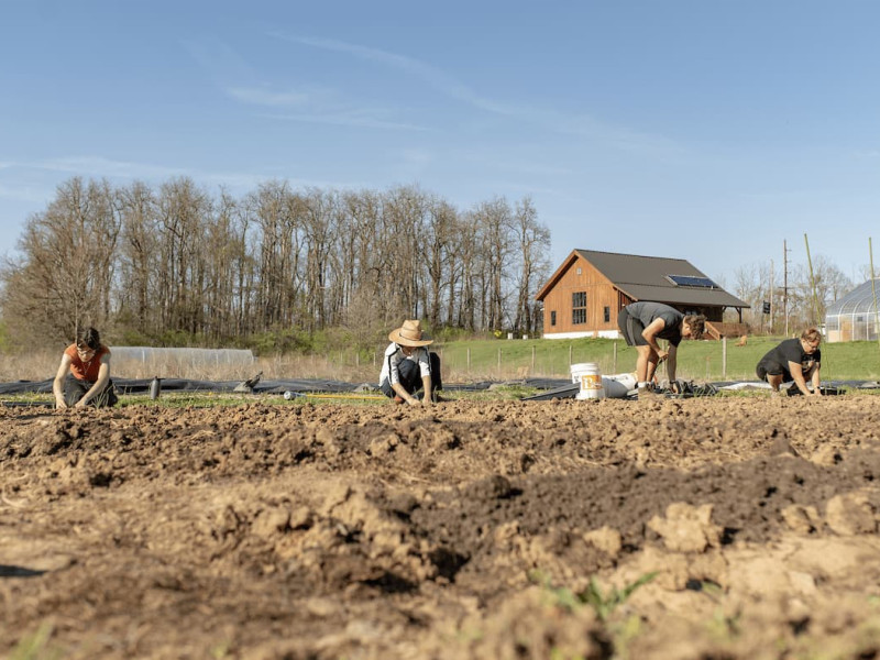 Entrance to the Ullem Campus Farm with green signage