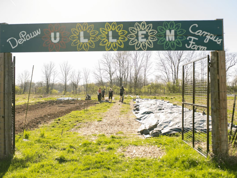 Four people walking toward a greenhouse at a farm