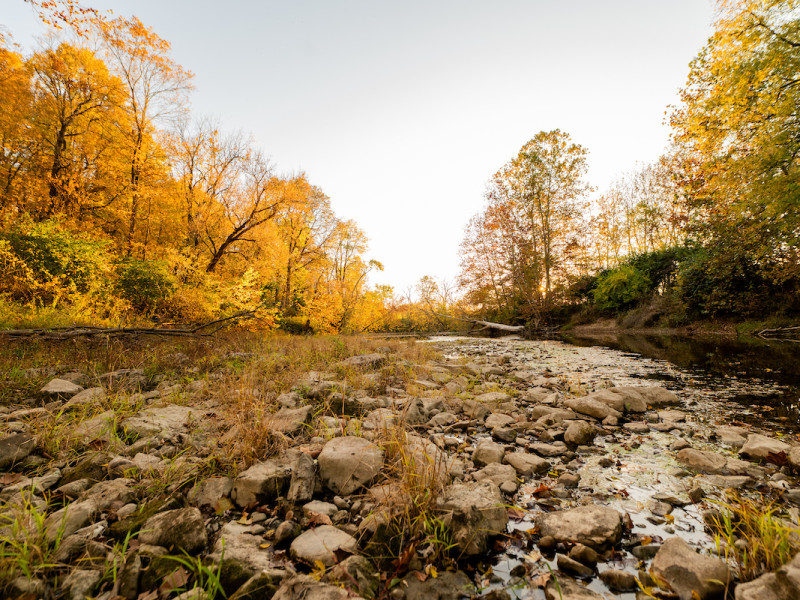 Scenic autumn landscape with orange trees and a stream