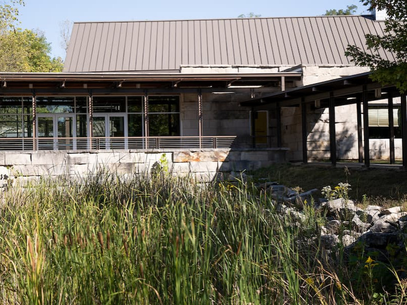 Exterior view of a stone campus building with tall grass in the foreground