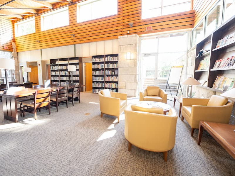 A sunlit campus library lounge with armchairs and bookshelves