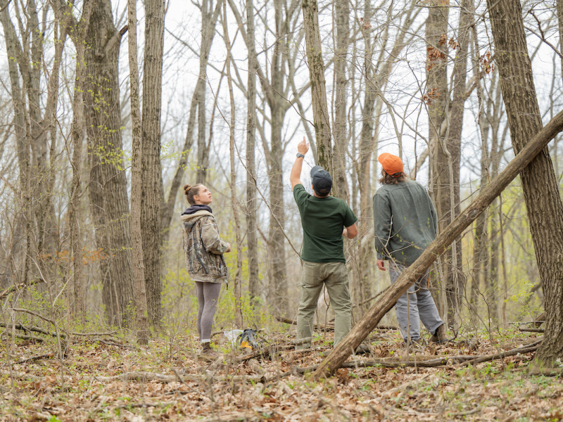 Three people conducting research in a densely wooded forest