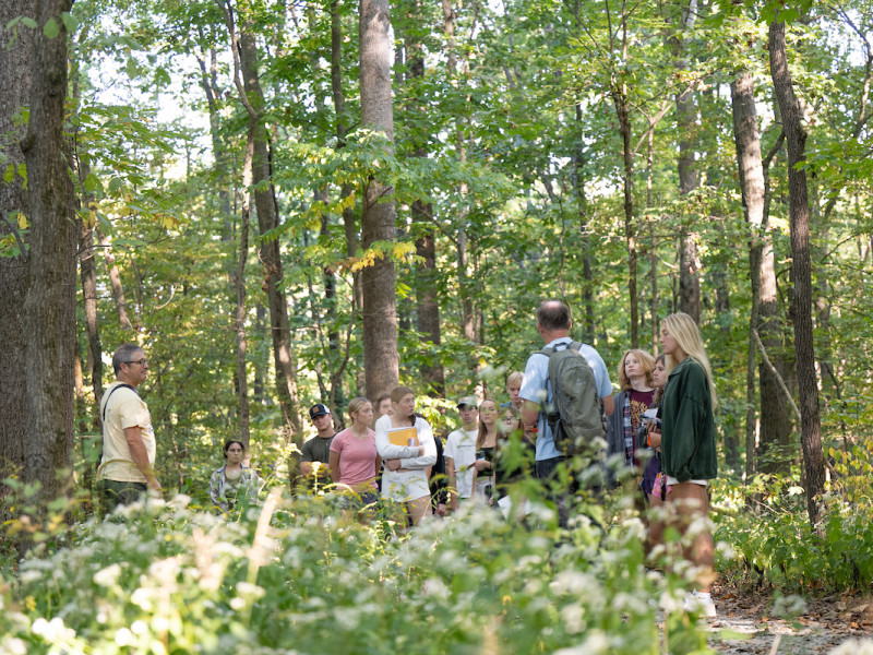 An outdoor classroom session held within a dense forest