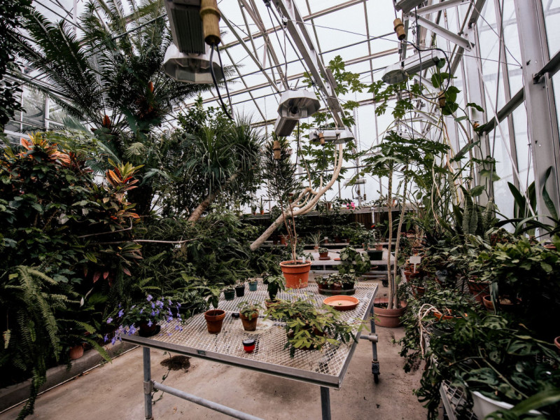 The plants and animals in the Olin Greenhouse allow students to learn about different adaptations, observe how they grow and see production.