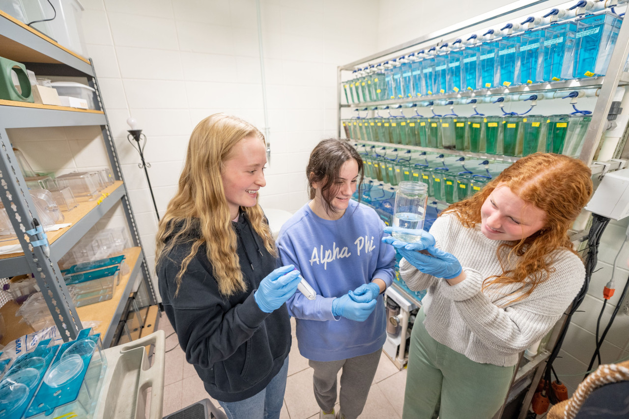 Three female students observe a specimen in a beaker in front of a rack of blue and green liquids.