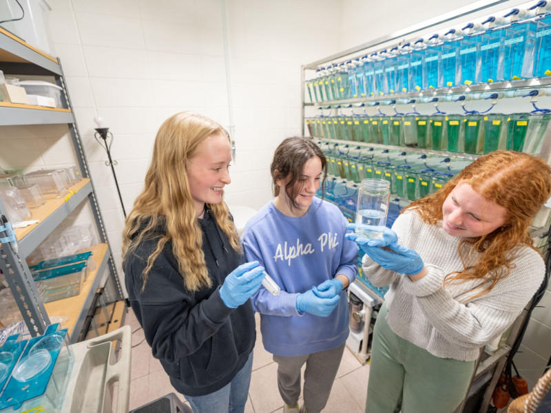 Peek inside an Olin lab.