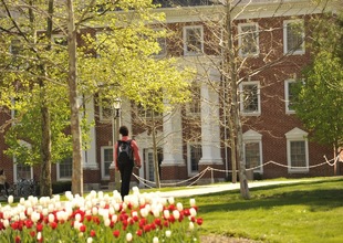 Rector Village
